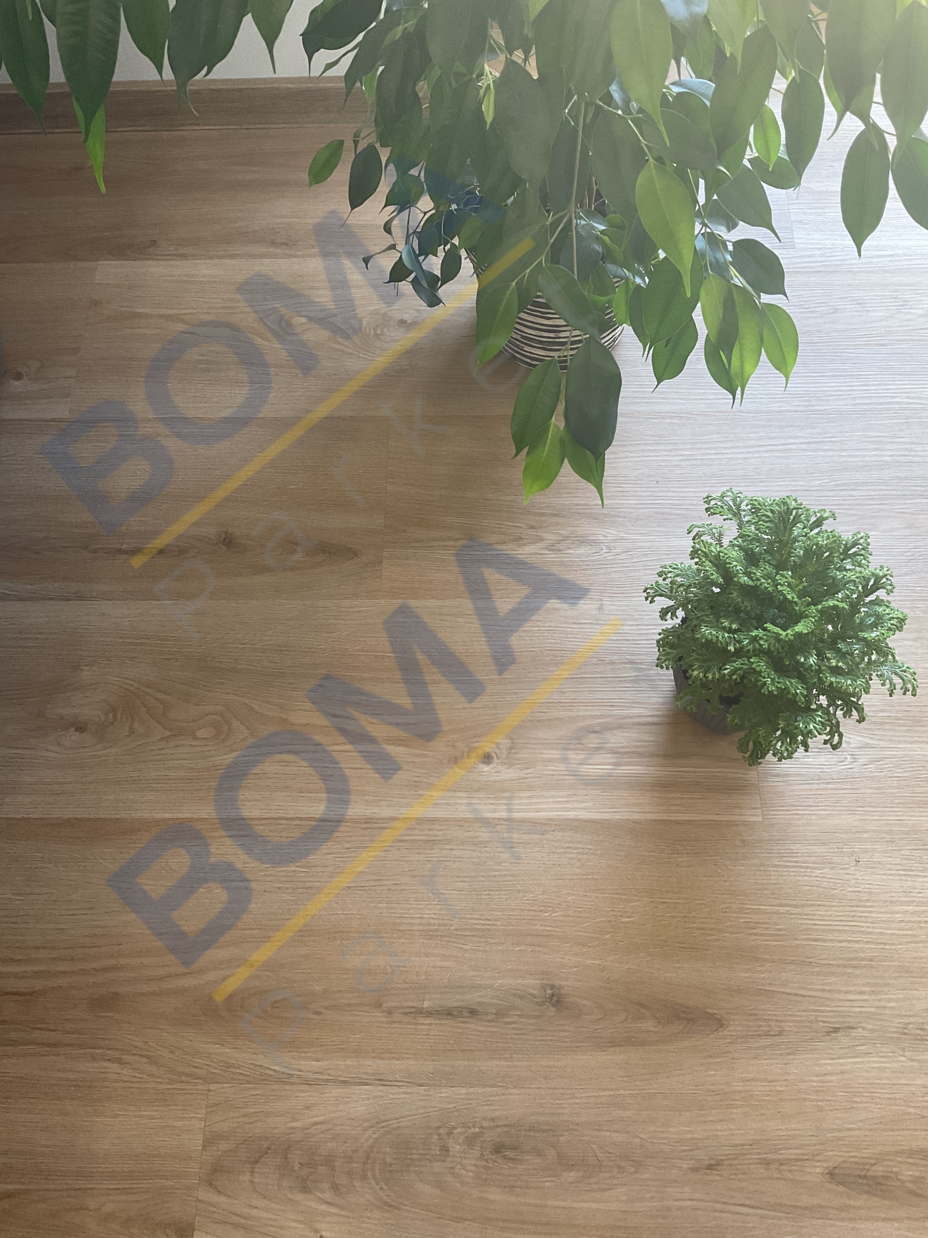 Vinylová podlaha RIGID Dub Selský 